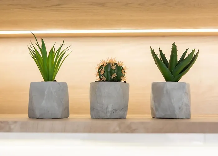 Homewell Dominikanska