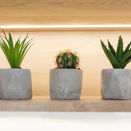 Homewell Dominikanska